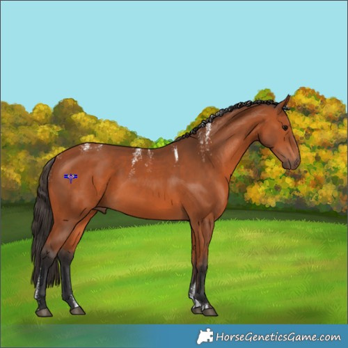 Horse Color:Powder White Bay 