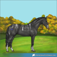 Horse Color:Powder White Black 