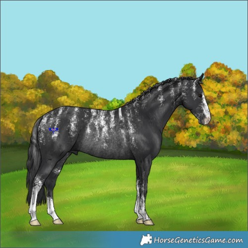 Horse Color:Powder White Black Rabicano 