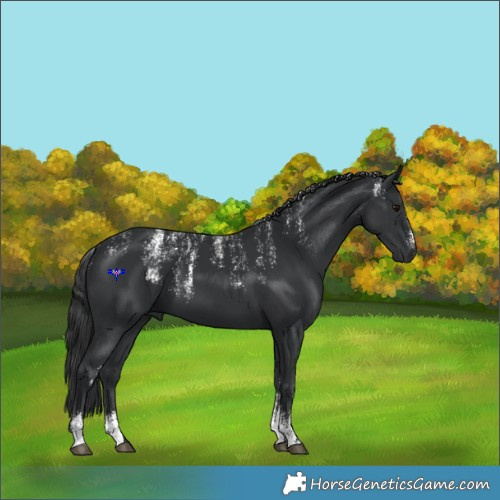 Horse Color:Powder White Black 