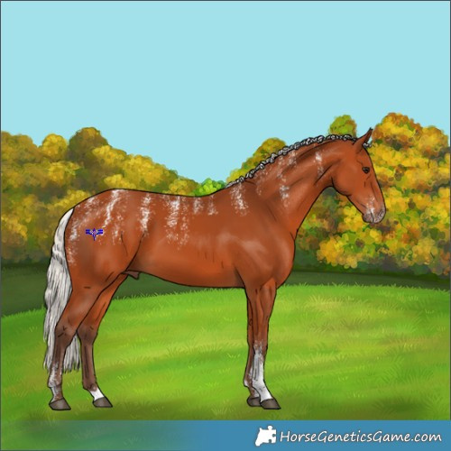 Horse Color:Powder White Silver Bay 