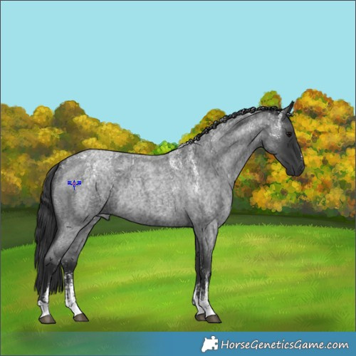 Horse Color:Powder White Blue Roan Rabicano 