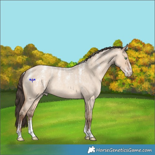 Horse Color:Powder White Amber Champagne Roan Dun 
