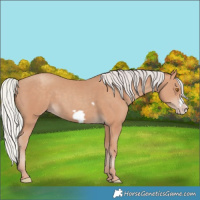 Horse Color:Silver Classic Champagne Frame
