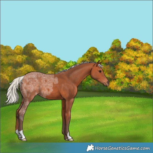 Horse Color:Silver Bay Ice 