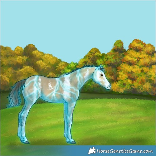 Horse Color:Thunderstruck Buckskin Ice Dun Sabino 