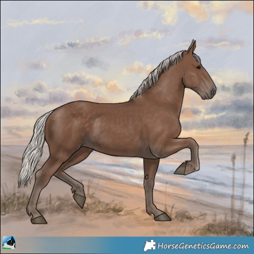 Horse Color:Silver Black Rabicano 