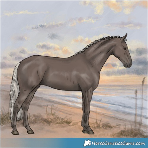 Horse Color:Silver Black 