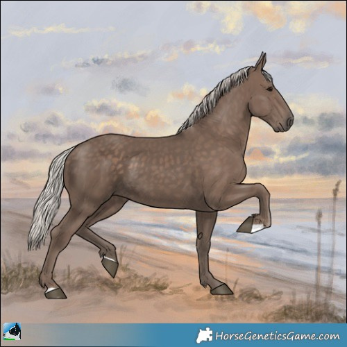 Horse Color:Silver Black 