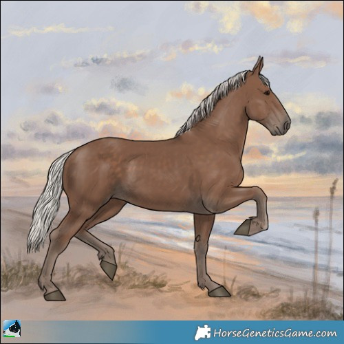 Horse Color:Silver Black 