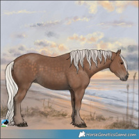 Horse Color:Silver Black 