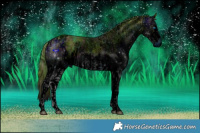 Horse Color:ERROR: UNKNOWN ANOMALY and ERROR: UNKNOWN ANOMALY