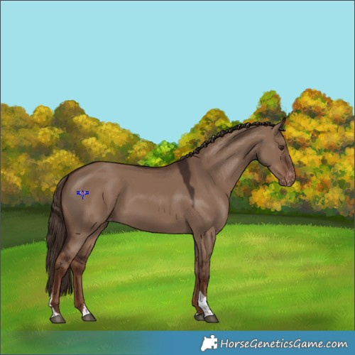 Horse Color:Liver Red Dun Tobiano Varnish 
