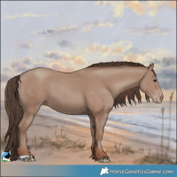 Horse Color:Classic Champagne 