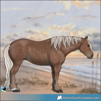 Horse Color:Silver Black 