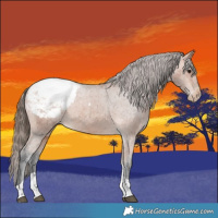 Horse Color:Bay Tobiano Snowcap 