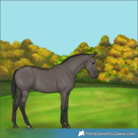 Horse Color:Smoky Grullo 