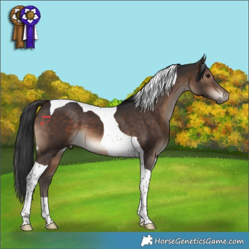 Horse Color:Brown Tobiano 
