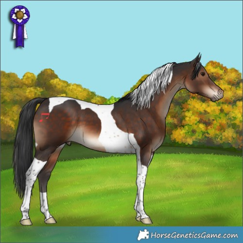 Horse Color:Brown Tobiano 