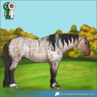 Horse Color:White Spotted Brown Dun  and Brown Roan Dun 