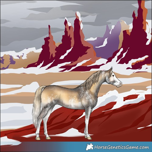Horse Color:White Spotted Chocolate Palomino Onyx Splash 