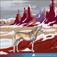 Horse Color:White Spotted Chocolate Palomino Onyx Splash 