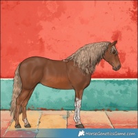Horse Color:Chestnut Tobiano 