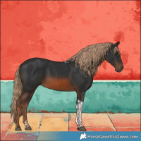 Horse Color:Chestnut Tobiano