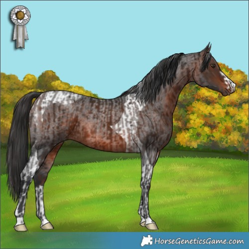 Horse Color:Liver Chestnut Tobiano  and Brown Roan 