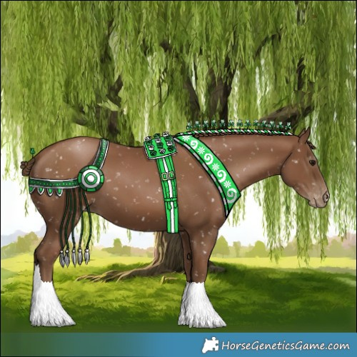 Horse Color:Gray Black Pearl Appaloosa