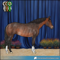 Horse Color:Brown Rabicano 