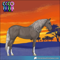 Horse Color:Silver Black 