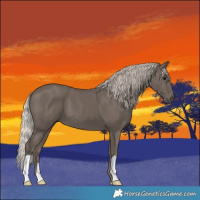 Horse Color:Silver Black 