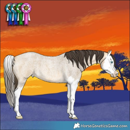 Horse Color:Buckskin Roan Dun Splash 