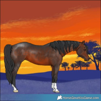Horse Color:Brown 