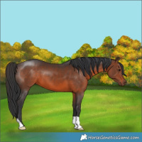 Horse Color:Brown 
