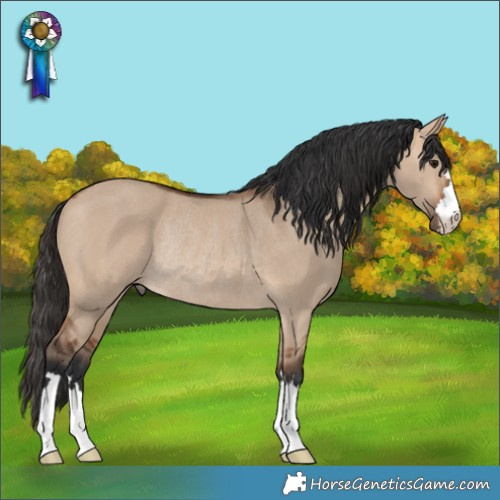 Horse Color:Bay Dun Rabicano 