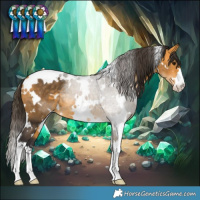 Horse Color:White Spotted Buckskin 