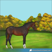 Horse Color:Brown 