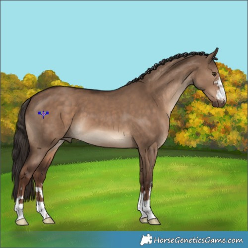 Horse Color:Liver Red Dun 