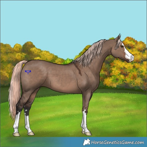 Horse Color:Liver Red Dun Mushroom 