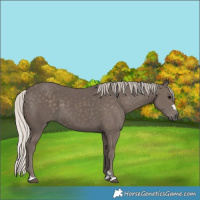 Horse Color:Silver Black 