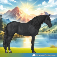 Horse Color:Black 
