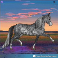 Horse Color:Black and Silver Black Chinchilla Rabicano