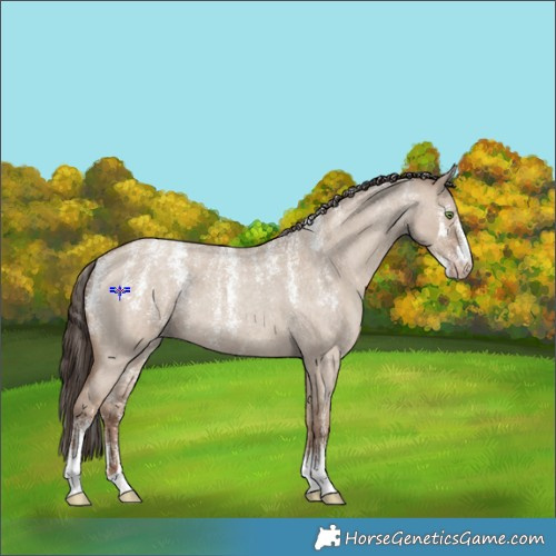 Horse Color:Powder White Classic Champagne Roan Dun 