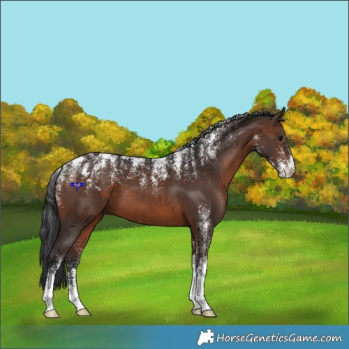 Horse Color:Powder White Brown 