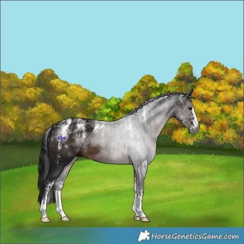 Horse Color:Powder White Gray Brown 