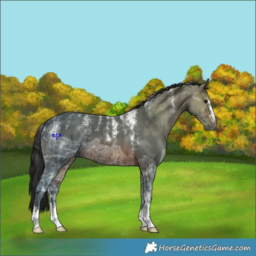Horse Color:Powder White Gray Brown Ice 
