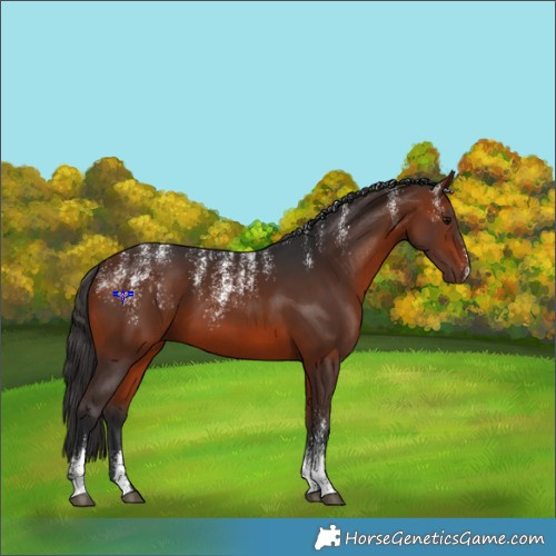 Horse Color:Powder White Bay 