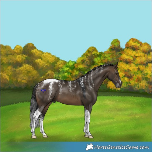 Horse Color:Powder White Gray Brown Dun Tobiano 
